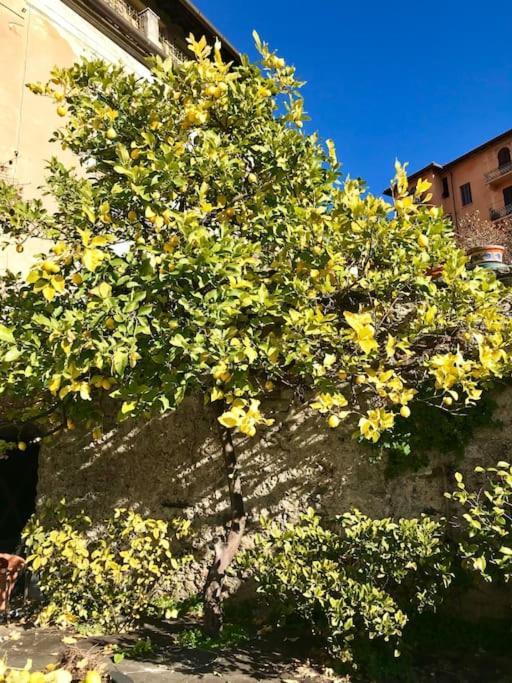 Villa Livia La Spezia Exterior photo